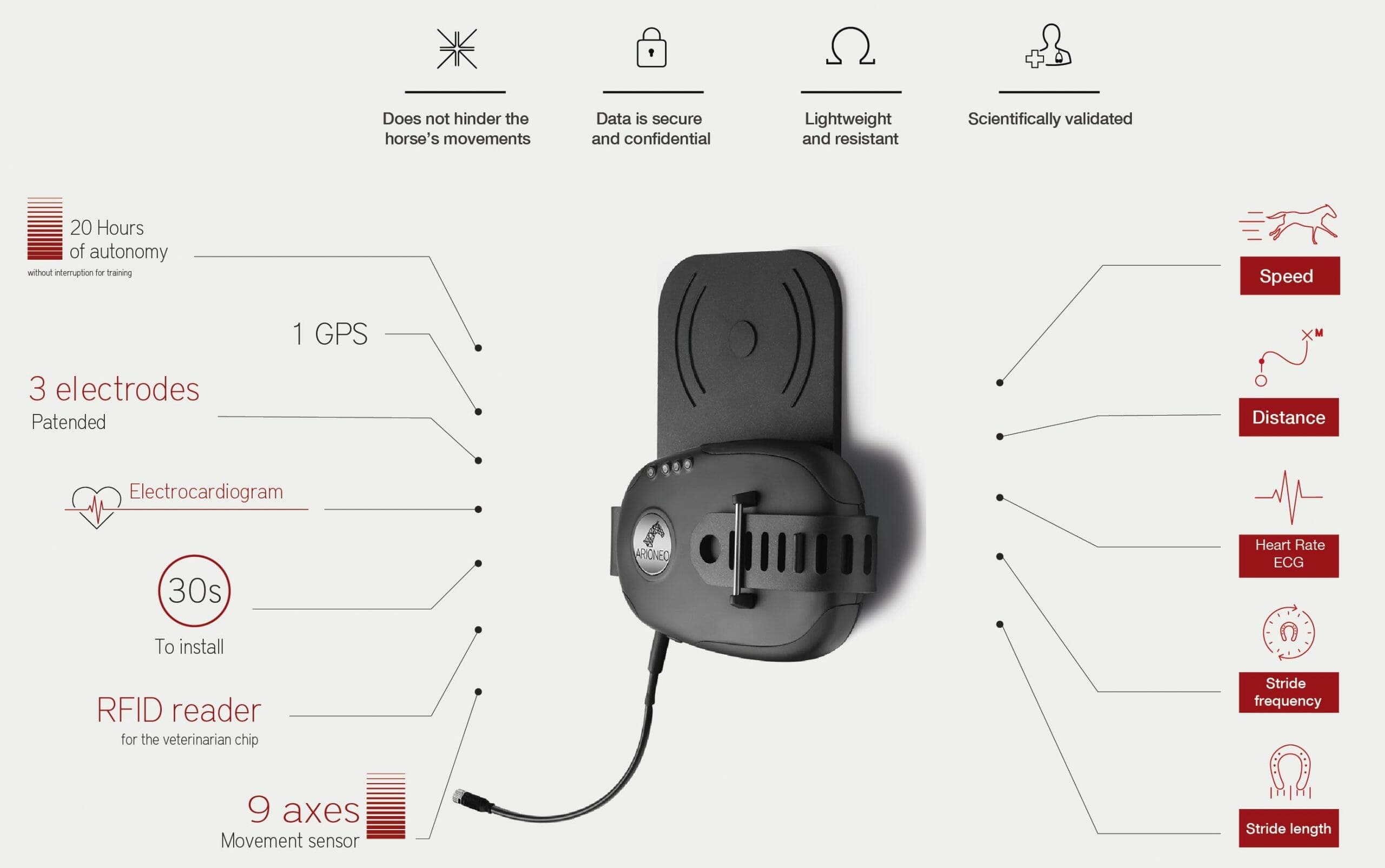 Horse heart rate monitor for veterinarians |Equimetre Vet - Arioneo