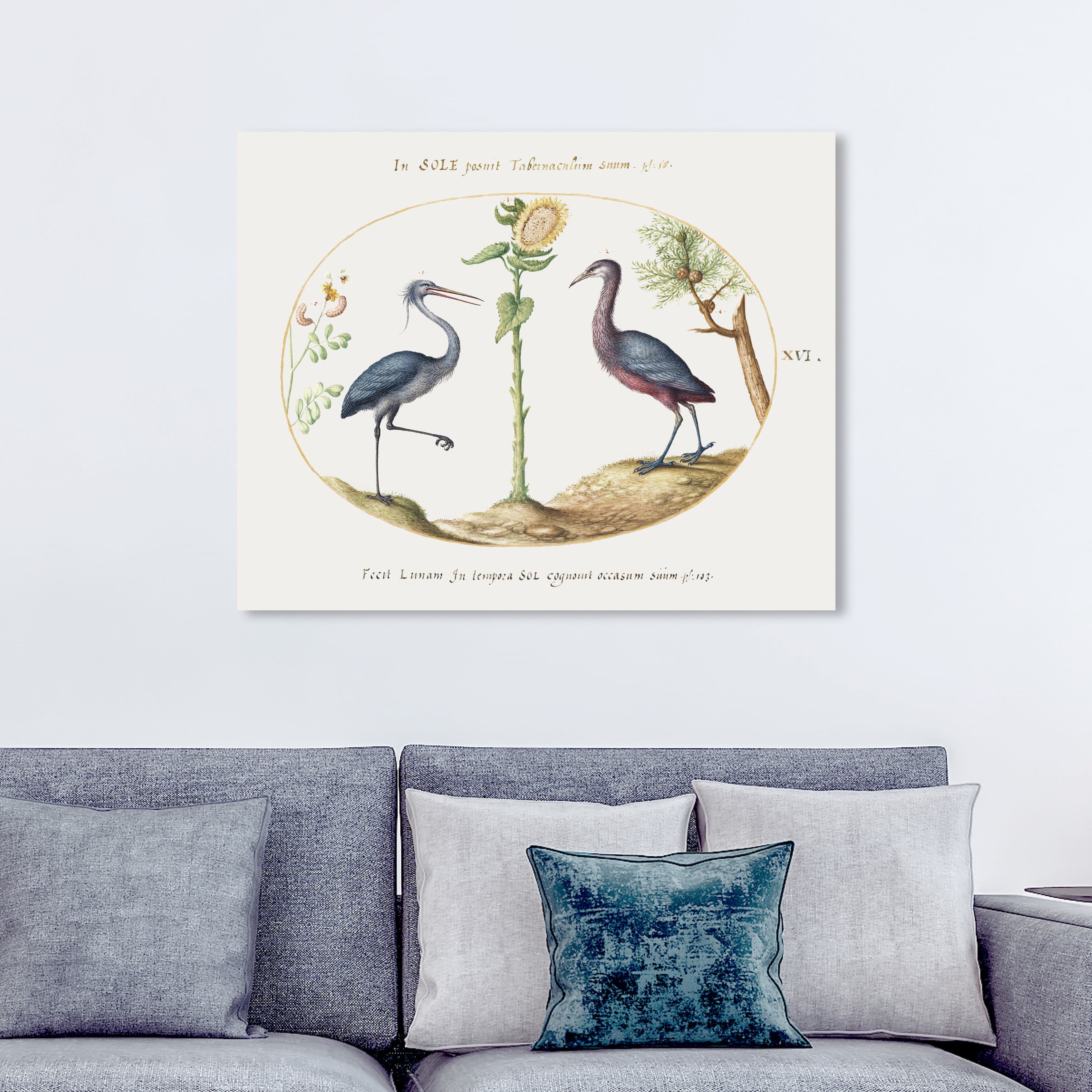 Oliver Gal Animals 'Hoefnagel - Birds And Sunflower' Birds By Oliver ...