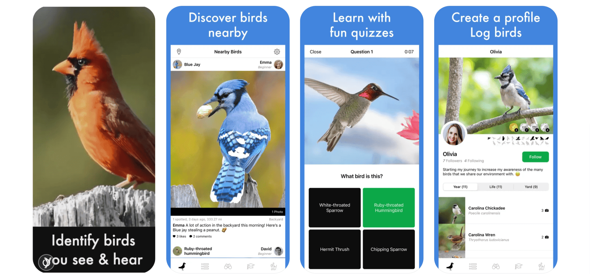 11 Of The Best Birdwatching Apps In The UK | Birda