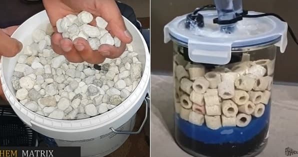 Ceramic Rings VS Seachem Matrix: What Bio Media is Better