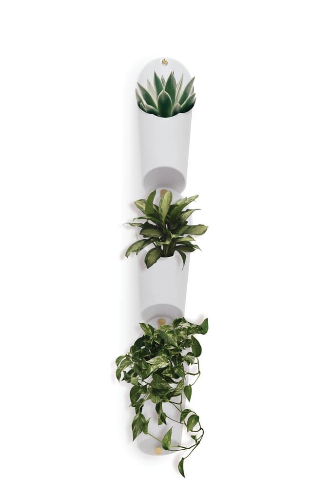 Umbra Floralink Wall Vessel | Bradshaws