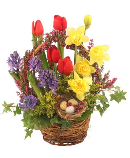 It's Finally Spring! Basket Arrangement in Greenfield, MA - FLORAL AFFAIRS