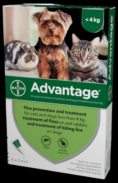 Advantage Spot On Flea Treatment 40 Small Cats Dogs and Rabbits, 4 ...