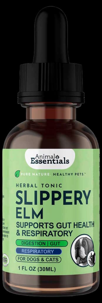 Animal Essentials Slippery Elm Herbal Extract for Dogs & Cats, 1-oz ...