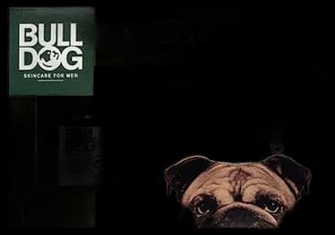 Amazon.com : Bulldog Mens Skincare & Grooming Original Ultimate Beard ...
