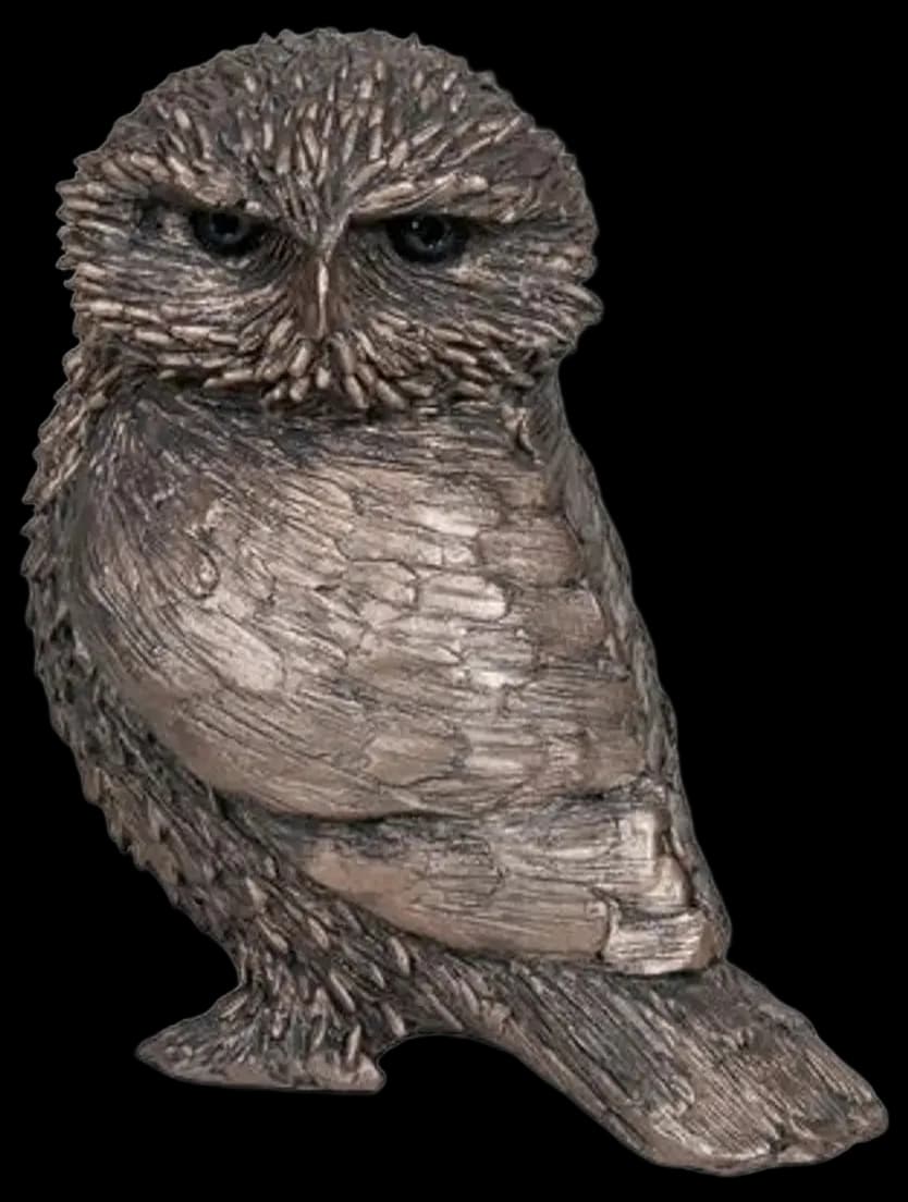 Frith Sculpture Cold Cast Bronze Owl by Thomas Meadows