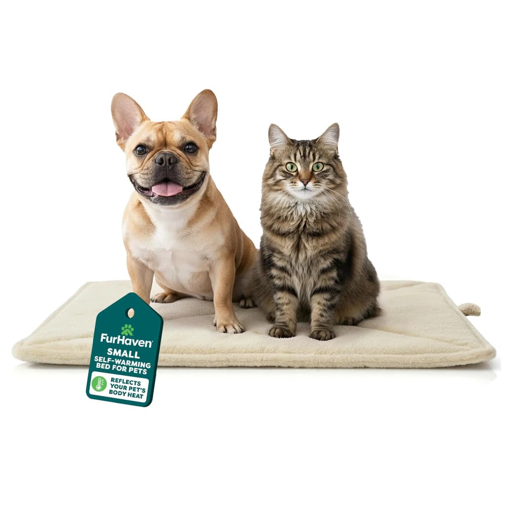 Furhaven ThermaNAP Self-Warming Cat Bed for Indoor Cats & Small Dogs ...