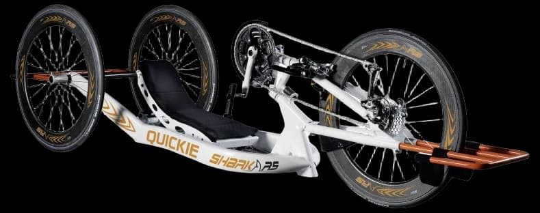 Quickie Shark RS