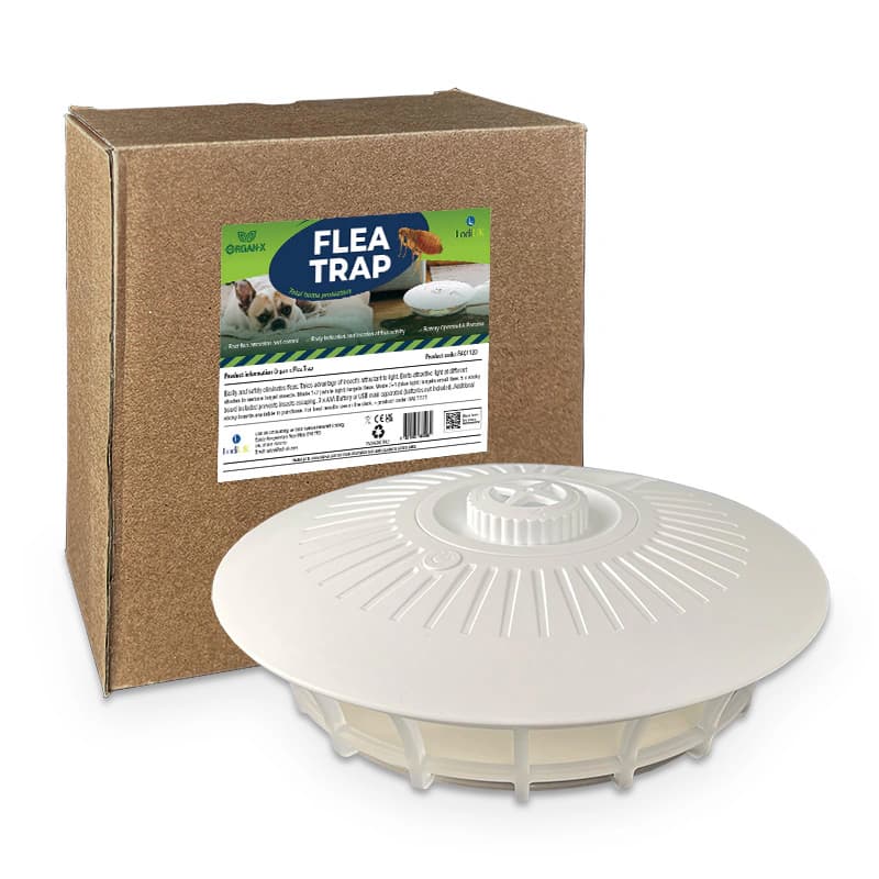 Natural Catch Flea Monitor Trap
