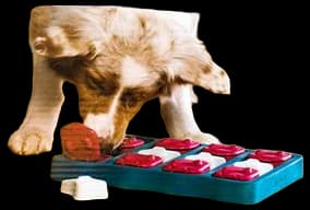 Nina Ottosson by Outward Hound Dog Brick Puzzle Plastic Green SM ...