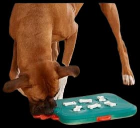 Nina Ottosson Casino Puzzle Toy - Level 3 | Pet Professor