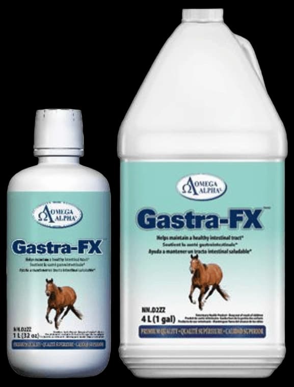 Omega Alpha Gastra-Fx 1 L – Greenhawk Equestrian Sport