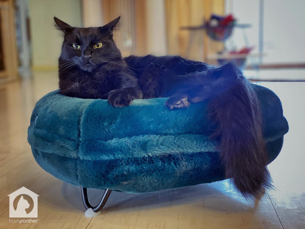 Omlet Maya Donut Cat Bed
