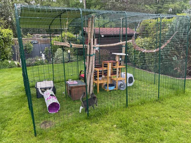 Omlet Outdoor Cat Run - Catio - Porch | Omlet