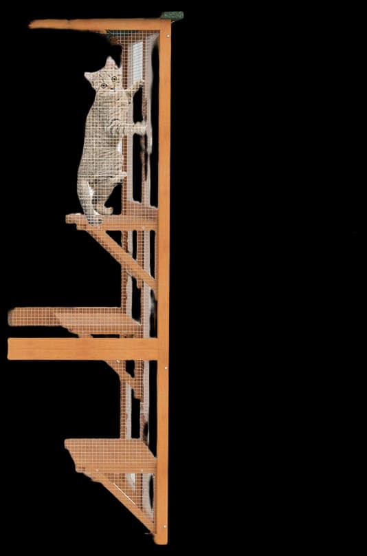 Buy PawHut Large Wooden Outdoor Catio Enclosure with Weather Protection ...