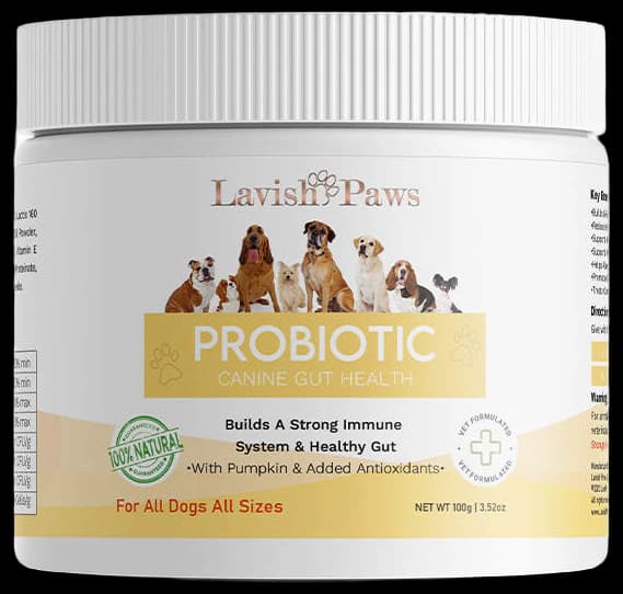 Paws & Pals Probiotics for Dogs
