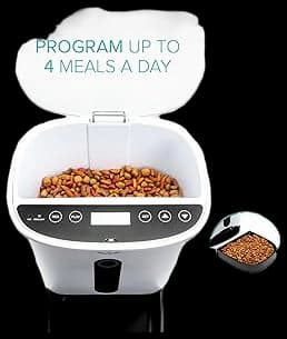 Arf Pets Automatic Pet Feeder - Dog & Cat Food Dispenser with ...