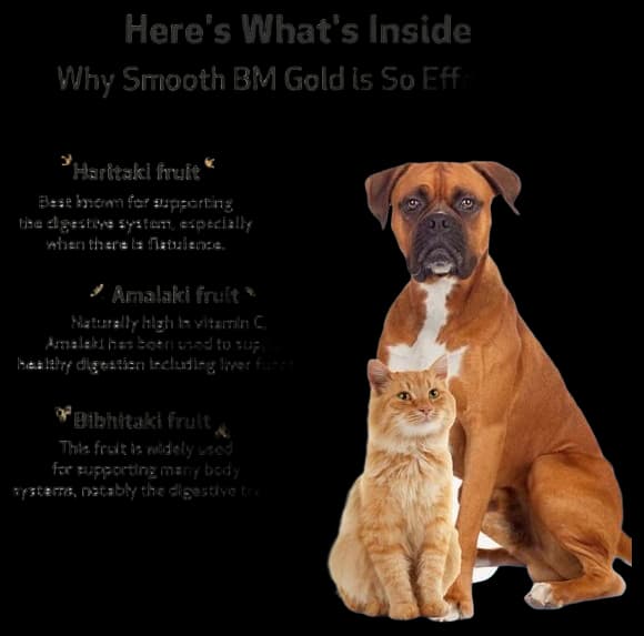 Pet Wellbeing Detox Gold For Dogs & …