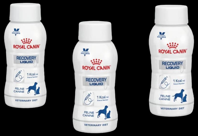 Royal Canin Veterinary Diet Recovery Liquid 3 x 200 ml : Amazon.co.uk ...
