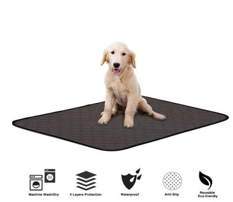 Amazon.com: Washable Dog Pee Pads – Reusable Puppy Training Pads for ...