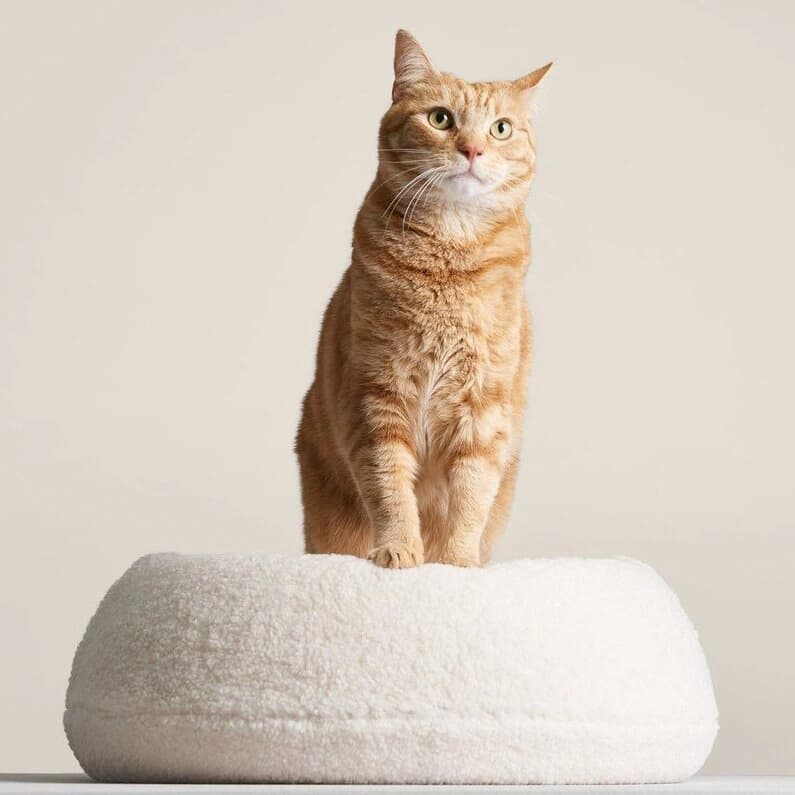 Tuft Paw Minou Cat Bed