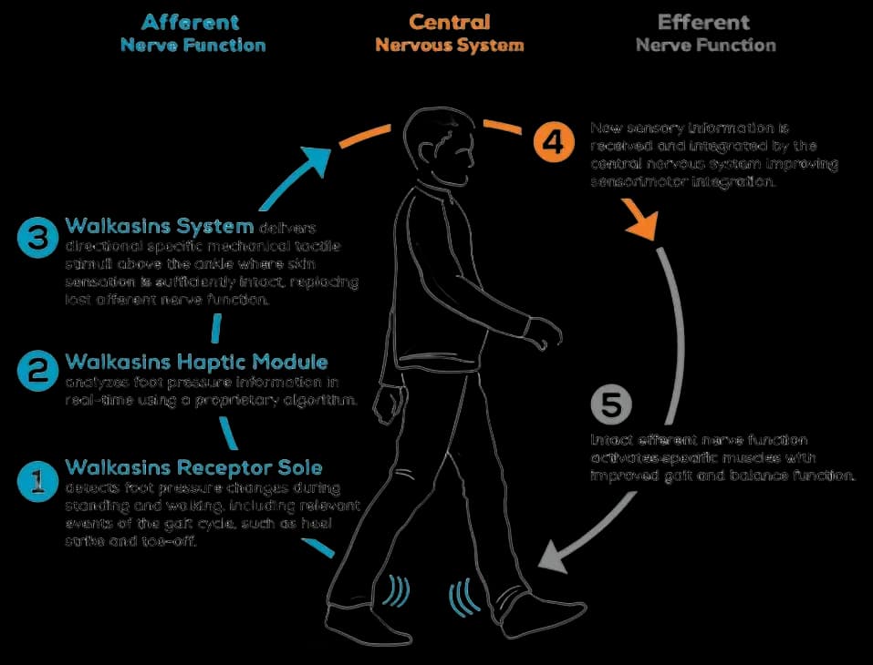Walkasins | Wearable Sensory Neuroprosthesis | RxFunction