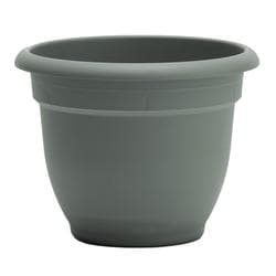 Bloem 10" Ariana Self-Watering Plastic Planter - Basil at Menards®