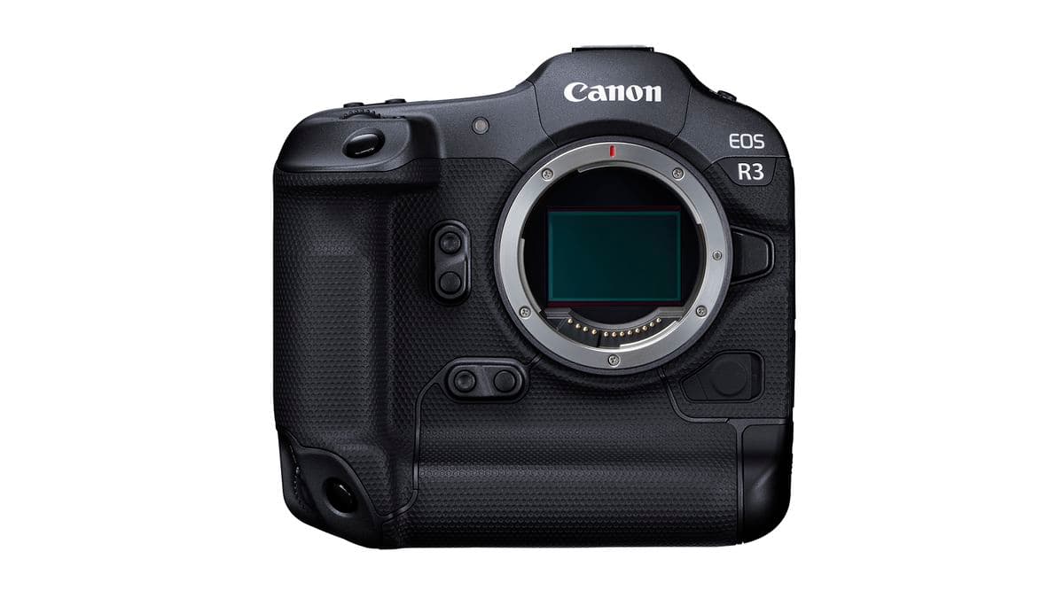 Best cameras for wildlife photography 2025 | Live Science