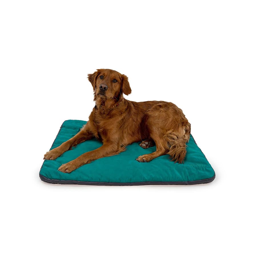 Ruffwear Mt Bachelor Pad Dog Bed Teal Medium | Pets