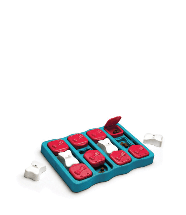 Nina Ottosson Dog Brick Puzzle - Bones Pet Stores