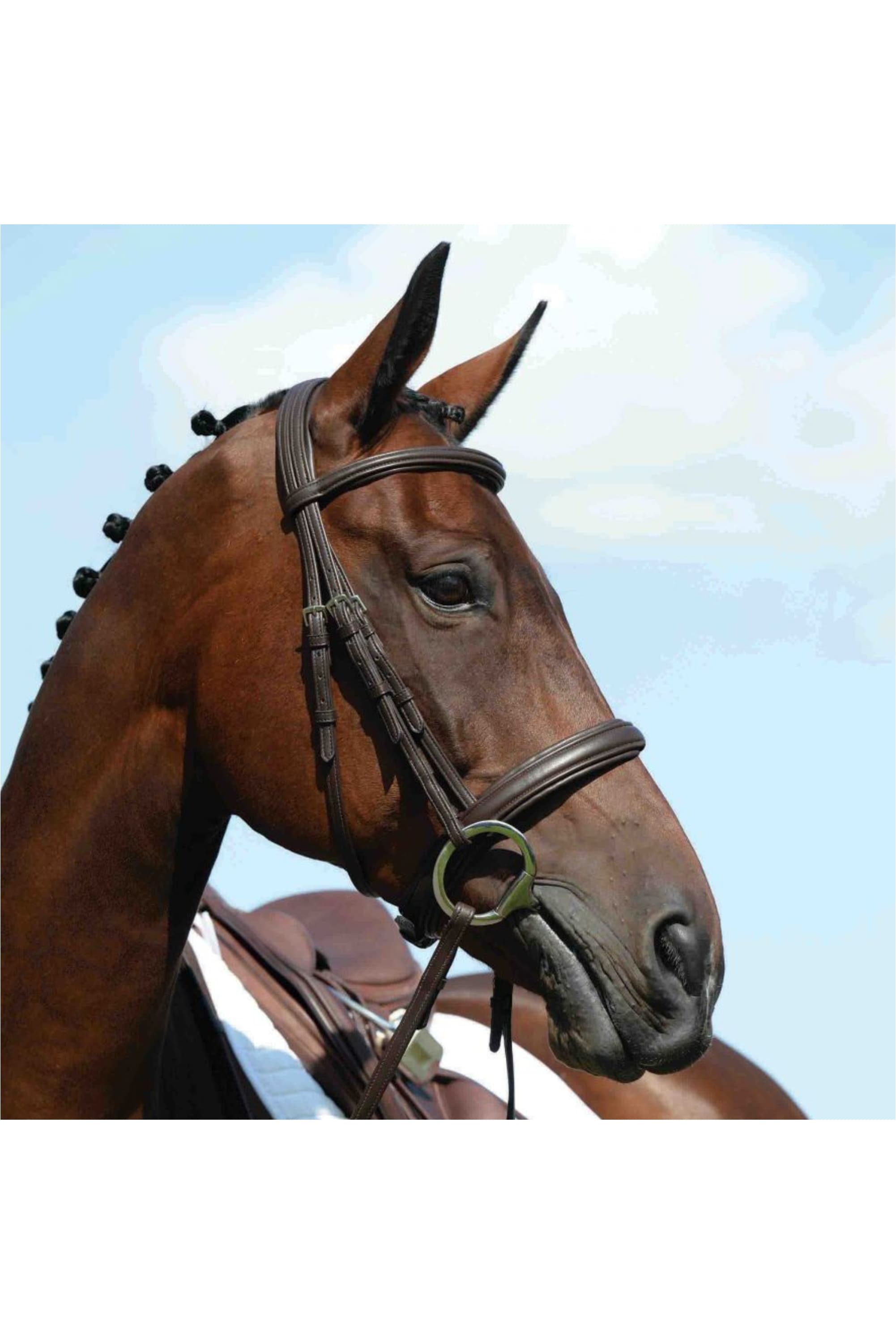 Collegiate Syntovia Padded Raised Cavesson Bridle 1003101001 ...