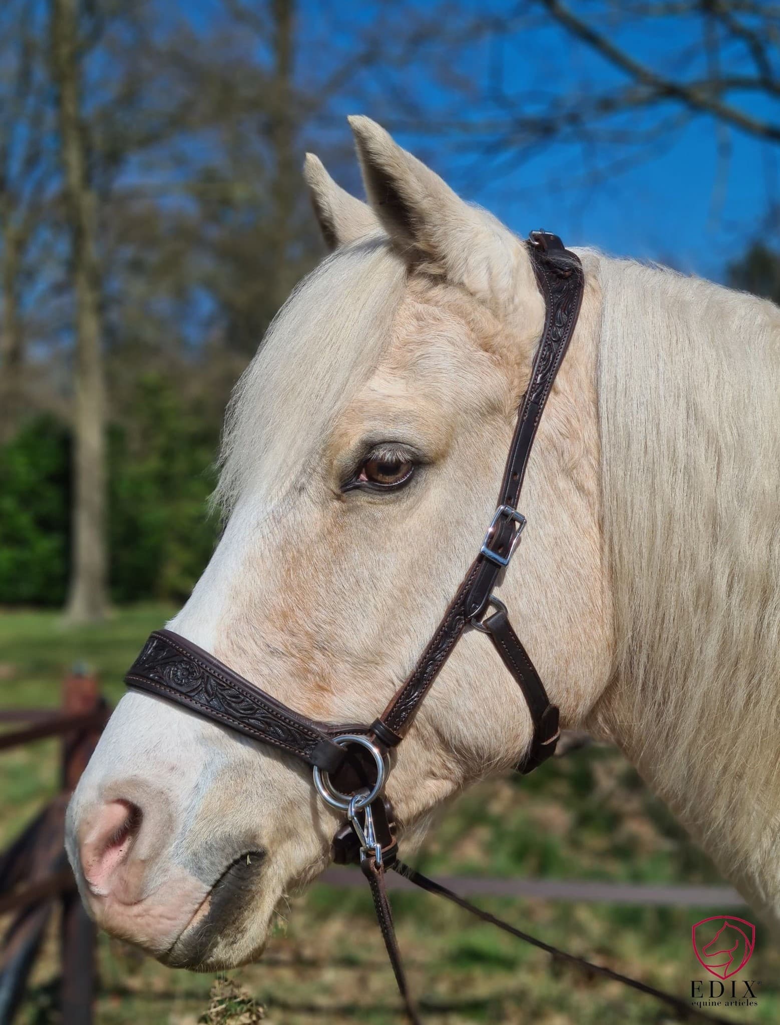 EDIX Rose sidepull bitless bridle - Becidor