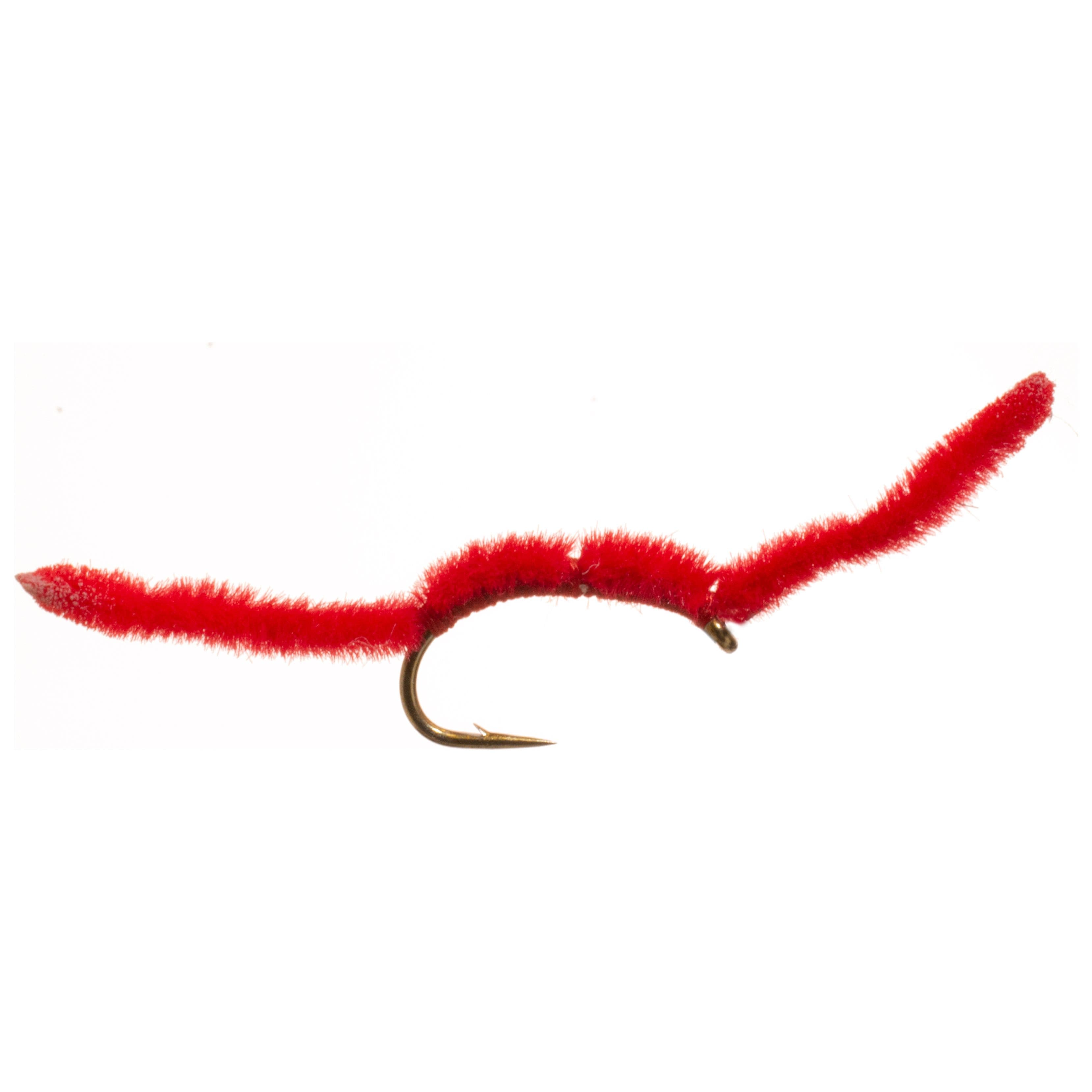 Umpqua Inch Worm