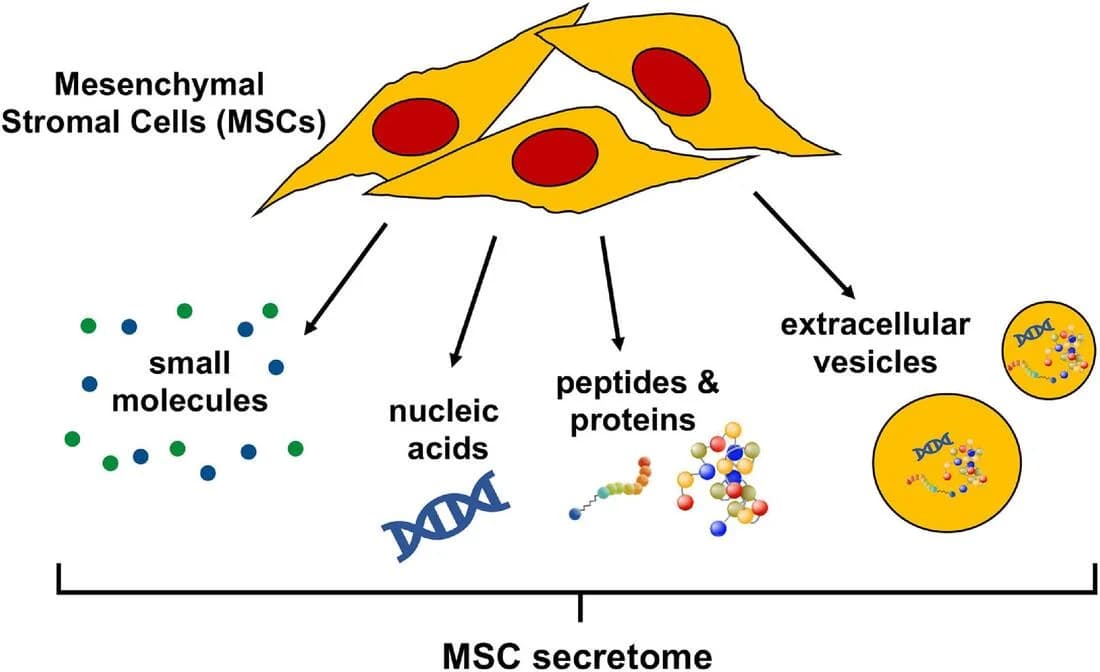 EXOSOME AND SECRETOME THERAPHY - Cell Tissue Technology