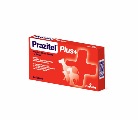 Prazitel® Plus - Chanelle Pharma