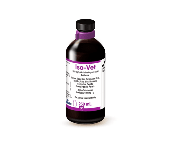 Iso-Vet® - Chanelle Pharma