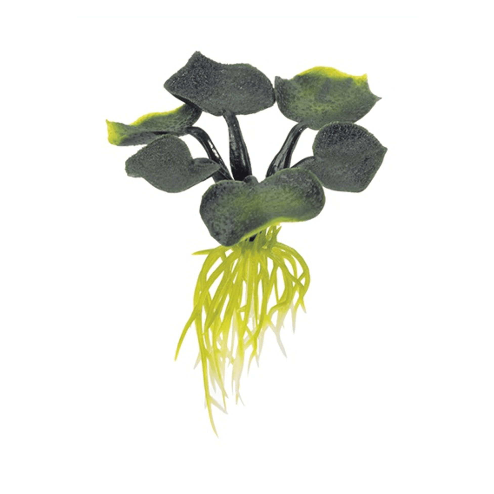 EXOTERRA® WATER PLANTS FLOATING WATERPLANTS – CITTAPET TIENDA