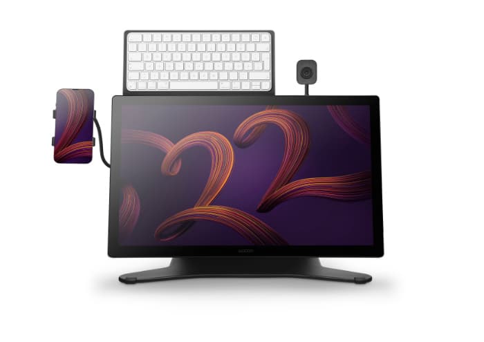 Wacom Cintiq Pro 22 Digital Drawing Display - Wacom