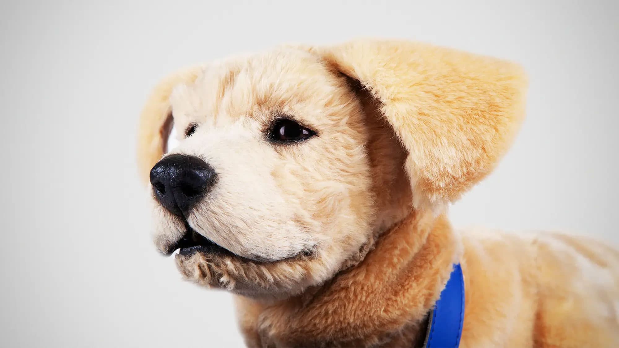 A Puppy That Won’t Chew Your Shoes Or Wake You At 3 AM? Meet Tombot Jennie