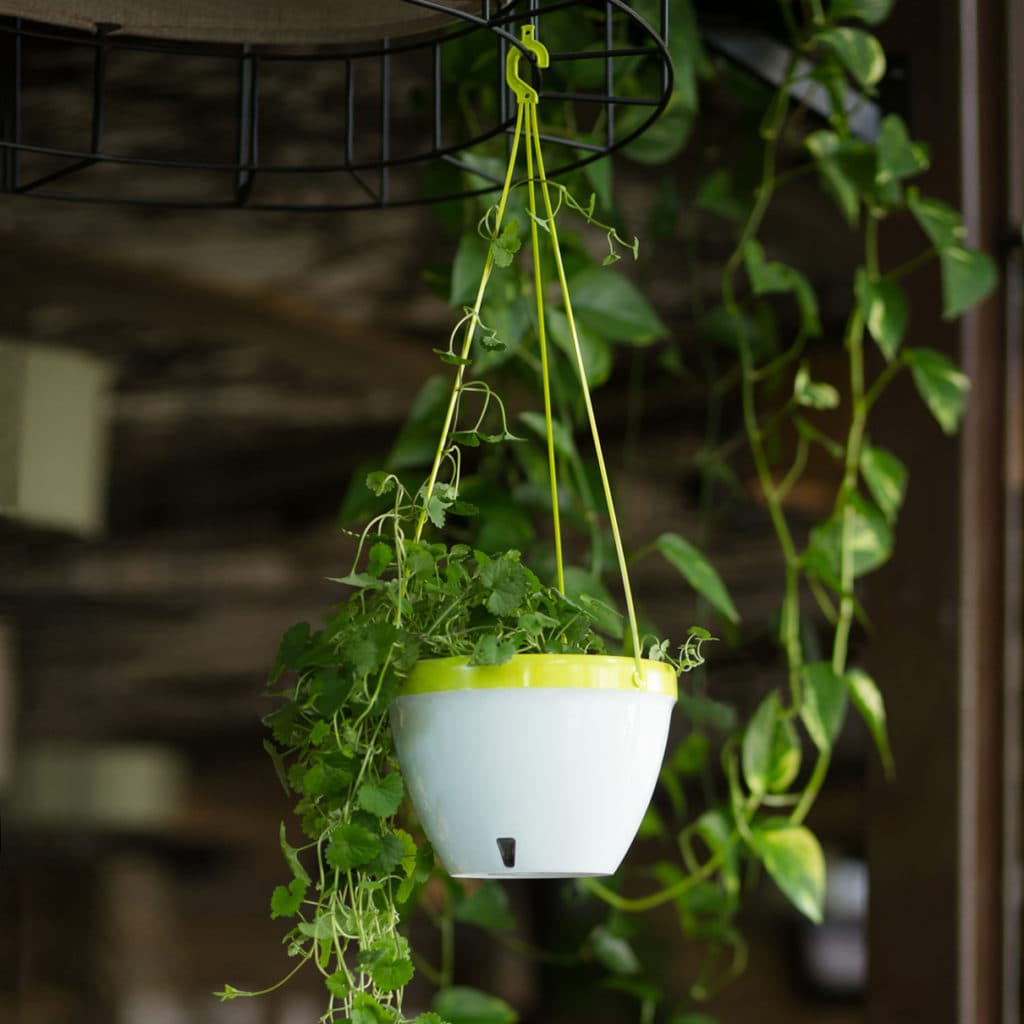 Self-Watering Hanging Basket VISTA | DecopotsUsa