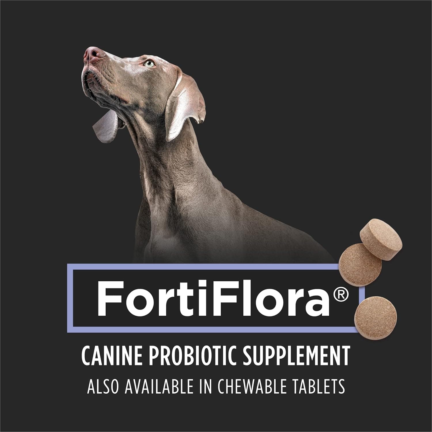 Purina Pro Plan Veterinary Supplements FortiFlora Dog Probiotic ...