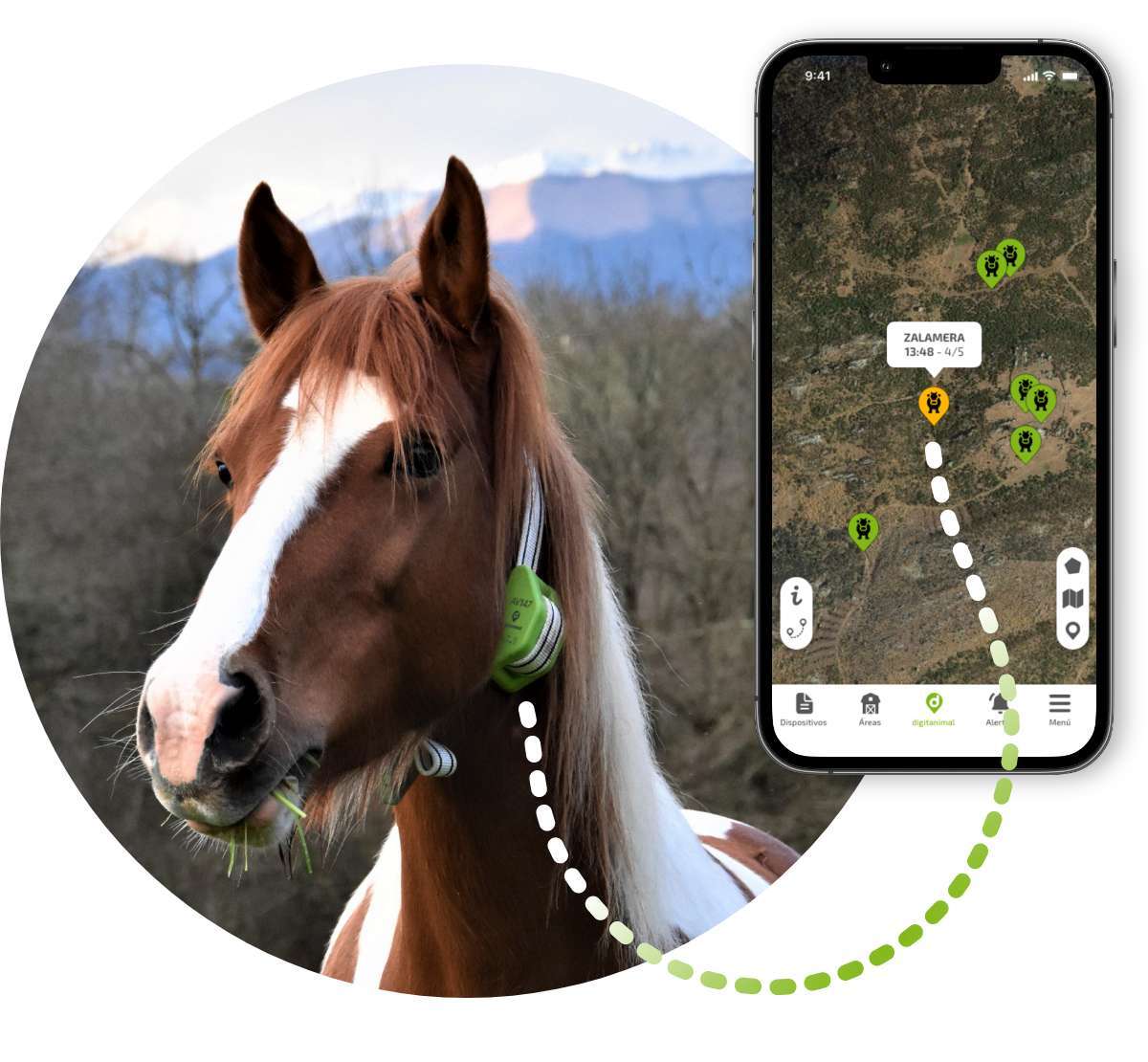 Horse | GPS horse tracker - Tracking and monitoring livestock