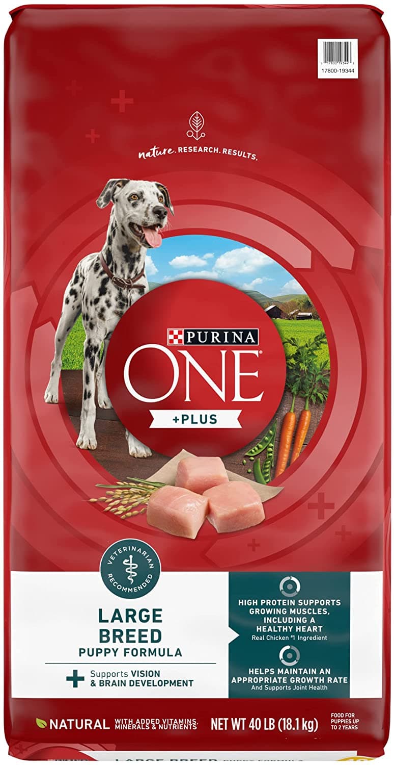 Purina DentaLife Daily Oral Care Large Dog Dental Chews Multipack ...