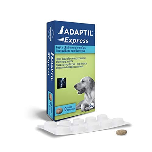 ADAPTIL Express Tablets, fast calming for anticipated events such as ...