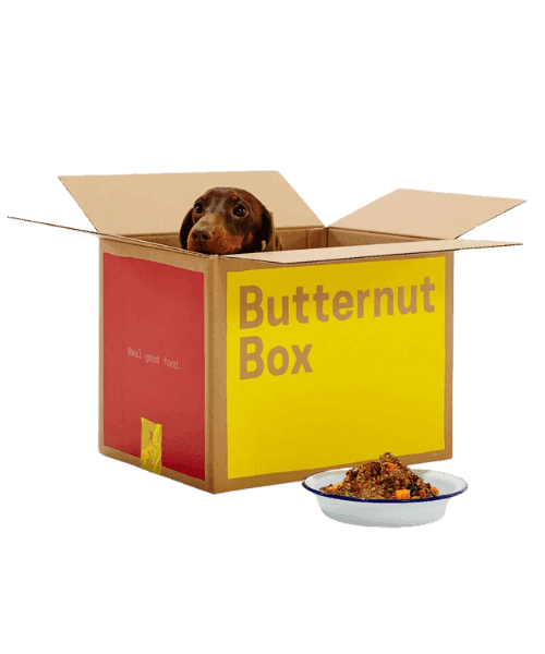Butternut Box vs Bella & Duke: Which Fresh Dog Food Really Delivers?