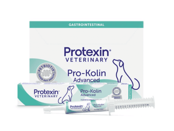 PROTEXIN PRO-KOLIN ADVANCED probiotikai šunims 15ml - Dokrin