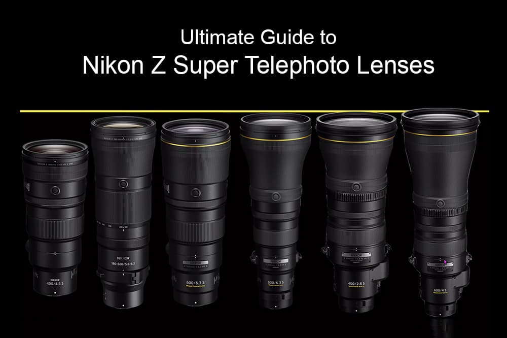 Ultimate Guide Nikon Z Super Telephoto Lenses | Park Cameras