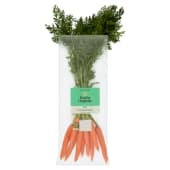 Fresh Carrots & Parsnips | Waitrose & Partners