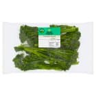 Duchy Organic Tenderstem Broccoli | Waitrose & Partners