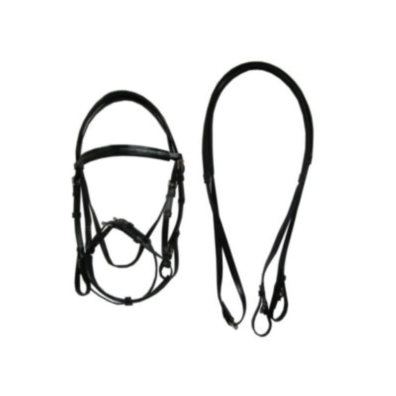 cob synthetic bridle